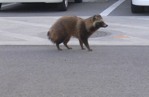 西村(2)